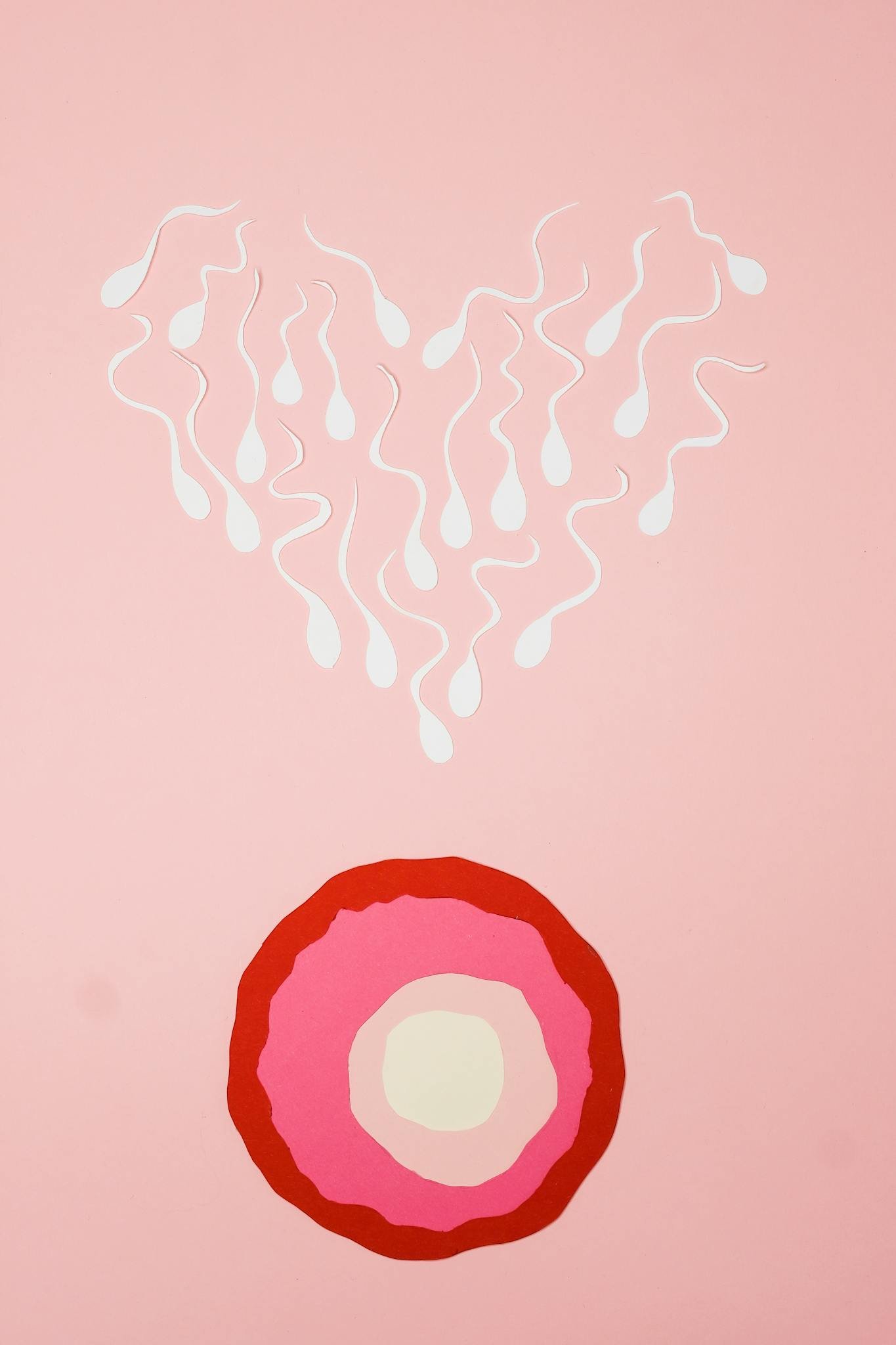 Abstract illustration of sperm fertilization on a pink background.