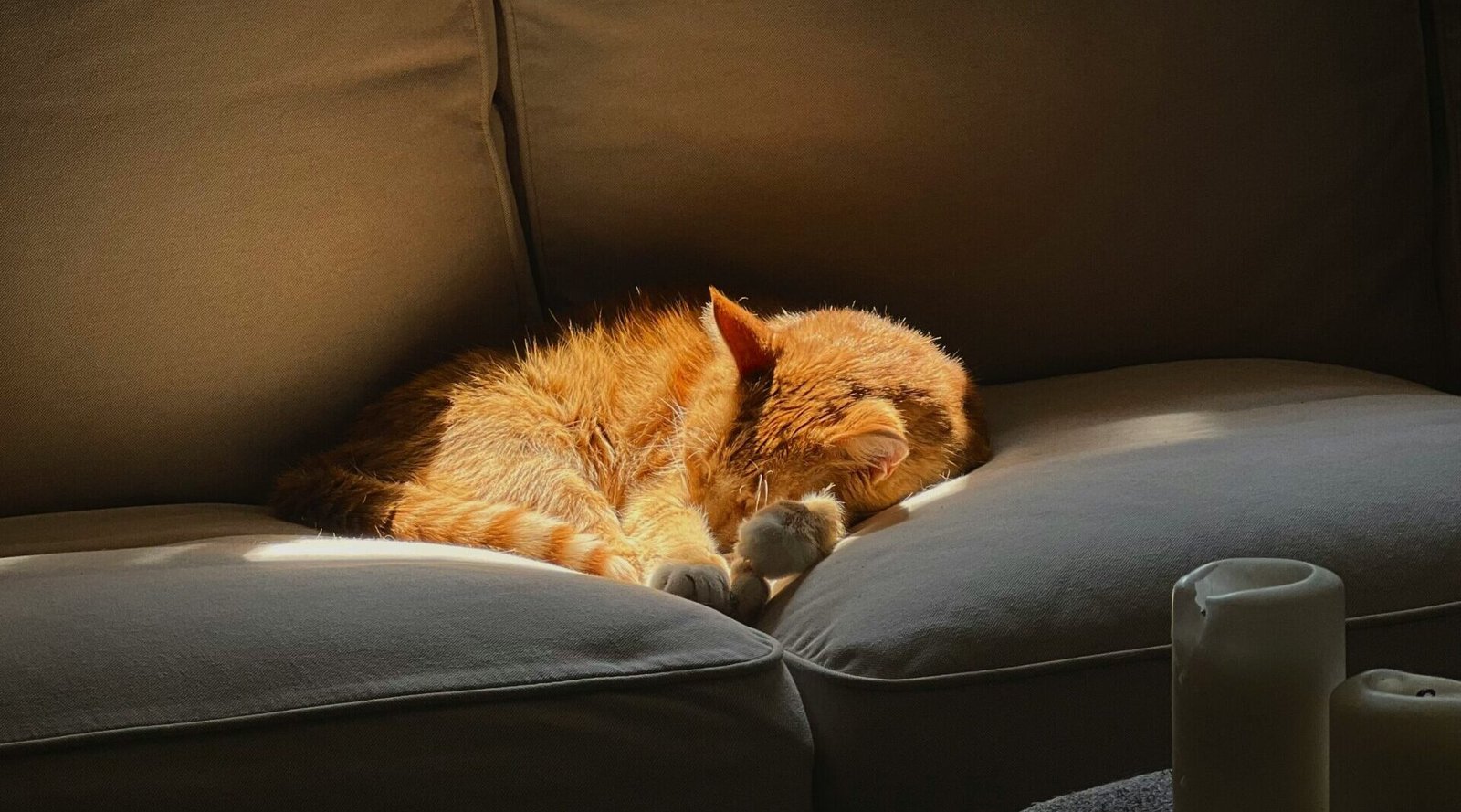 erica marsland huynh g9ewqbbwqze unsplash