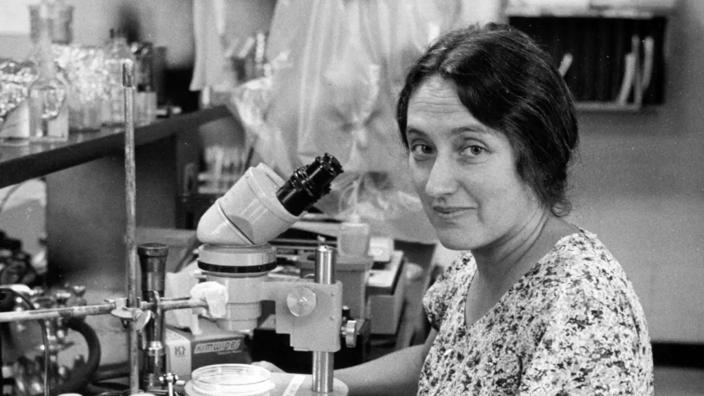 lynn margulis at microscope