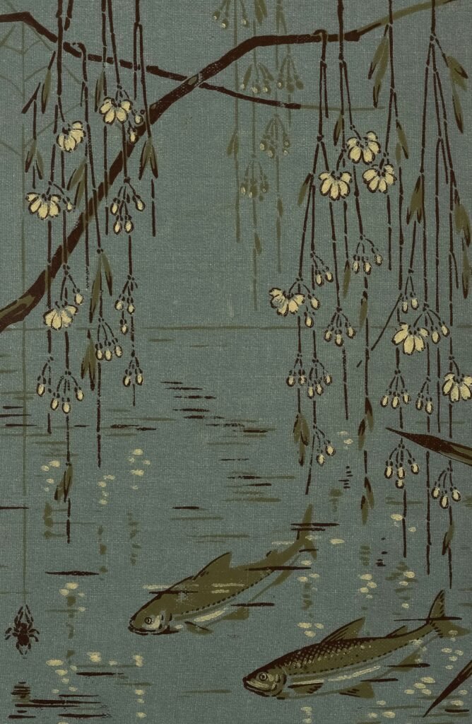 bhlnz biodiversity heritage library nz uviemtcsumc unsplash